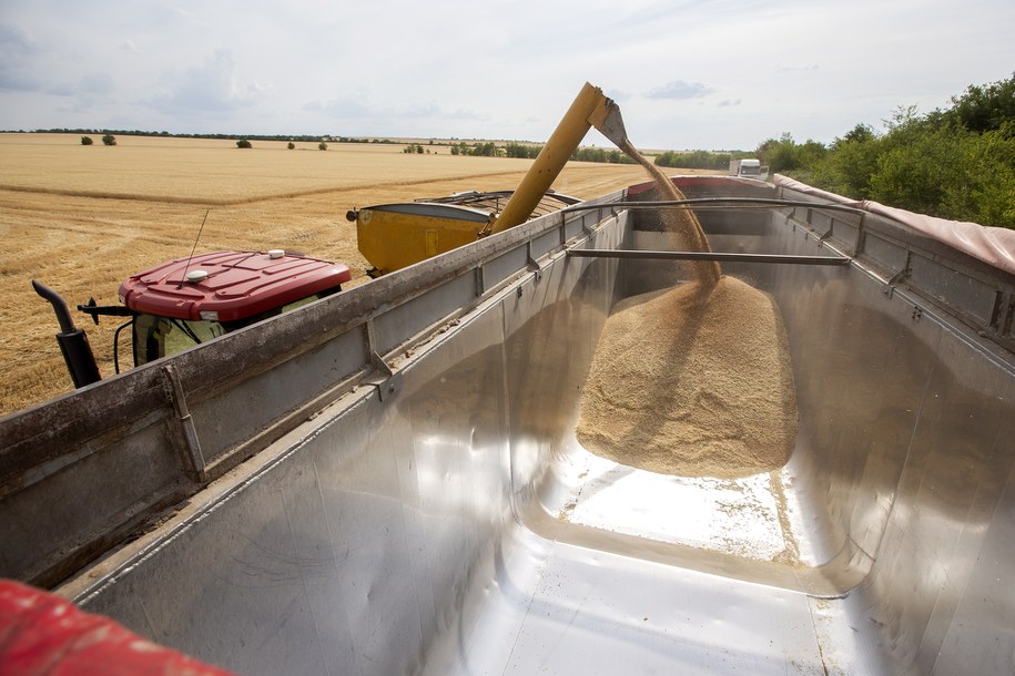 Susza drastycznie wpływa na tegoroczne zbiory upraw w Mołdawii /DUMITRU DORU /PAP/EPA