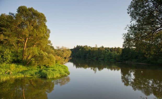 Susza hydrologiczna w Łódzkiem: Są alerty m.in. dla Warty [MAPY]