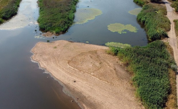 Susza podbija ceny. Kłopoty z wodą to droższa żywność i problemy z prądem