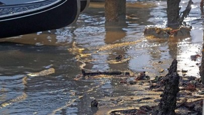 Susza w Wenecji. Po kanałach nie mogą pływać gondole i motorówki