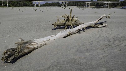 Susza we Włoszech. Możliwe racjonowanie wody na niektórych obszarach