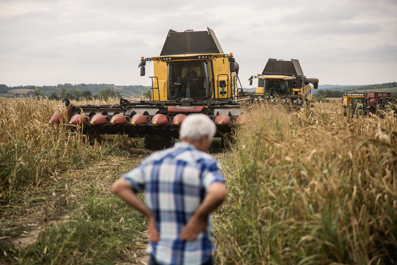 Susza wpływa nie tylko na rolnictwo, ale także praktycznie na każdą gałąź przemysłu /Bloomberg /Getty Images
