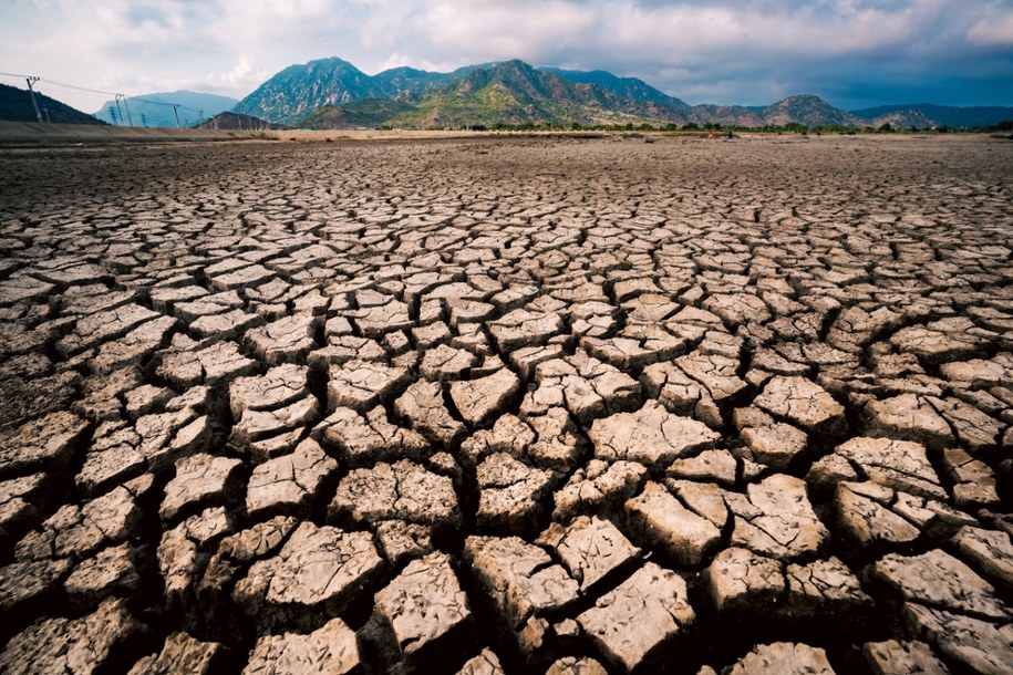 Susza (zdjęcie poglądowe) /Shutterstock