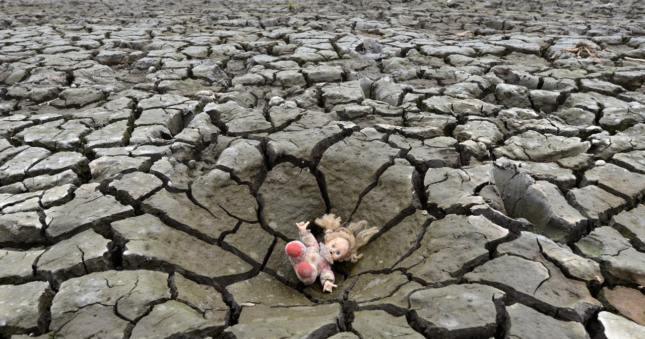 Susza /AFP