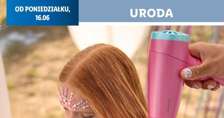 Suszarka i depilator w Lidlu /Lidl /INTERIA.PL