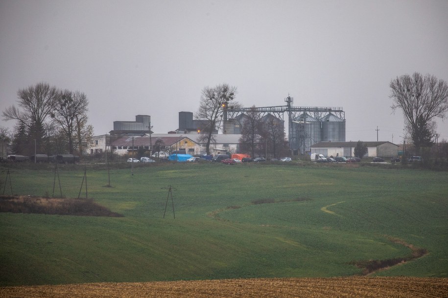 Suszarnia zboża w miejscowości Przewodów /Wojtek Jargiło /PAP