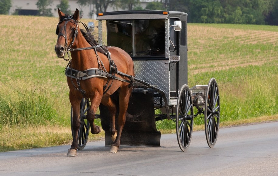 SUV uderzył w powóz konny. Zginęło troje dzieci