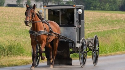 SUV uderzył w powóz konny. Zginęło troje dzieci