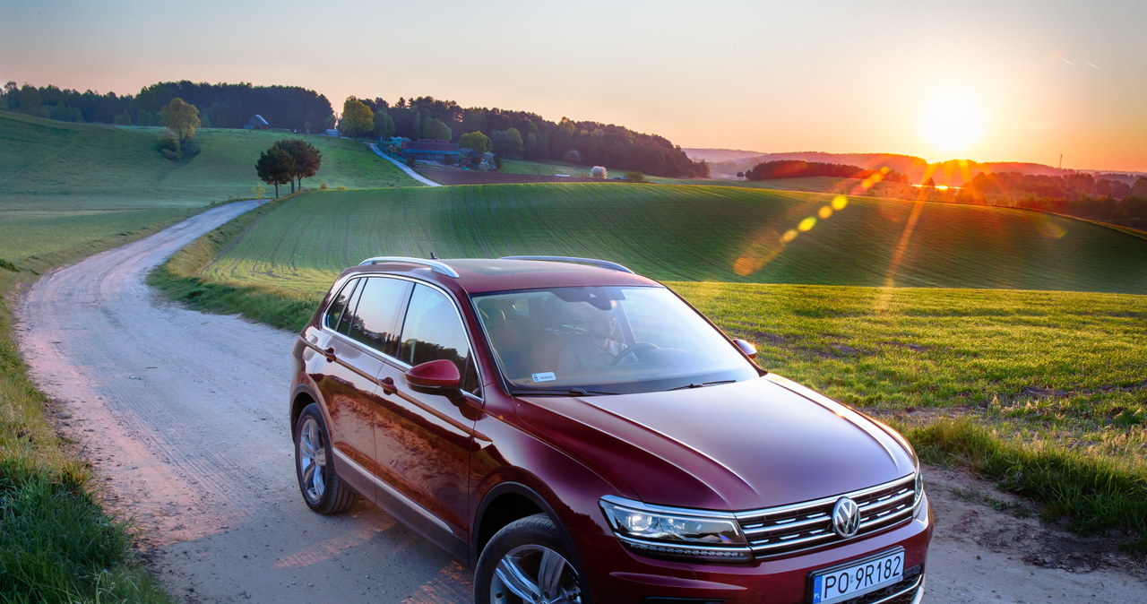 SUV-y  dobrze sprawdzają się zarówno w mieście, jak w podróży /materiały prasowe