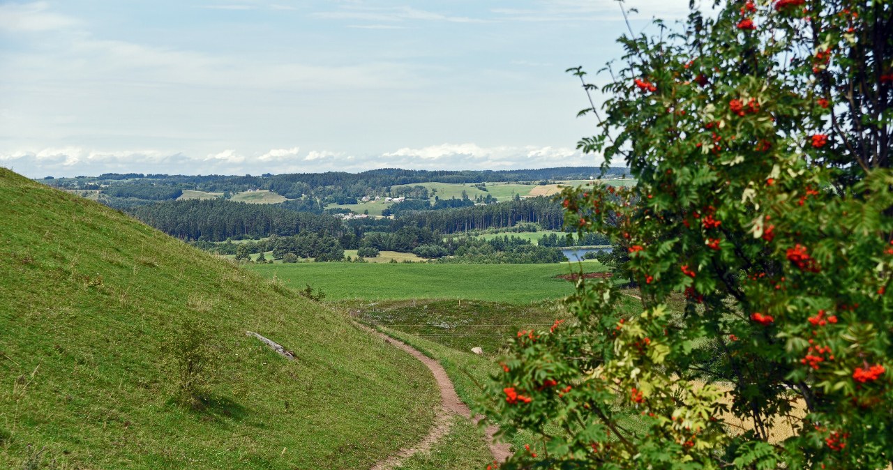 Suwalski Park Krajobrazowy jest najstarszym tego typu obszarem w Polsce. Region ten często określany jest "polskim biegunem zimna" /Marek Lasyk  /East News