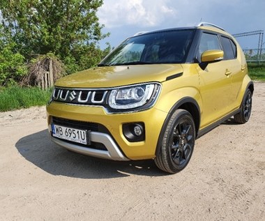 Suzuki Ignis - do miasta i na bezdroża