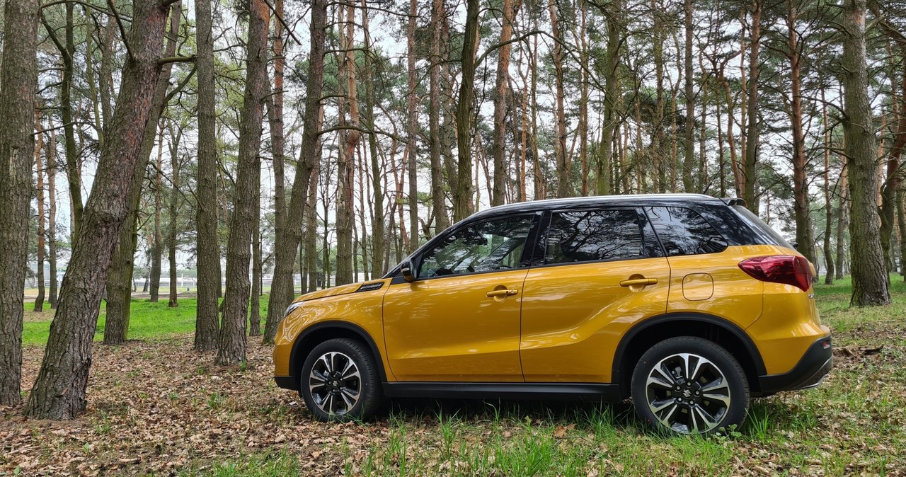 Suzuki Vitara All Grip Hybrid /INTERIA.PL