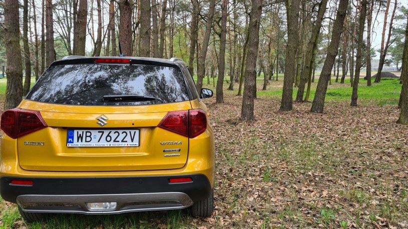 Suzuki Vitara All Grip Hybrid /INTERIA.PL