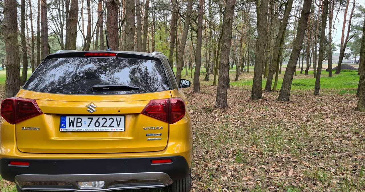 Suzuki Vitara All Grip Hybrid /INTERIA.PL