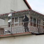 SW: 13 wniosków dot. niebezpiecznych skazanych, którzy kończą odbywanie kary 