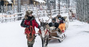 Św. Mikołaj wkrótce bez reniferów? To efekt wojny w Ukrainie
