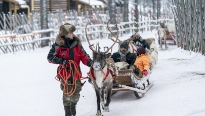 Św. Mikołaj wkrótce bez reniferów? To efekt wojny w Ukrainie