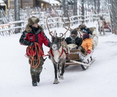 Św. Mikołaj wkrótce bez reniferów? To efekt wojny w Ukrainie