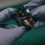 SWARM Biotactics: Karaluchy-cyborgi już działają w służbie NATO