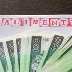 Świadczenie alimentacyjne. Jakie jest kryterium dochodowe?