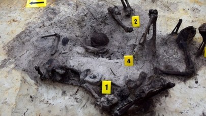 Świadek egzekucji ofiar komunistycznego terroru wskazał miejsce w lesie pod Ostrołęką