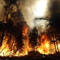 Świat w obiektywie - wrzesień 2011