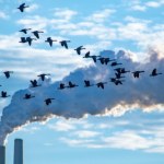 Świat wciąż pędzi na ropie i gazie. Upadają "absurdalne scenariusze"