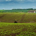 Świat wysycha. Słodka woda ucieka z kontynentów i podnosi poziom mórz