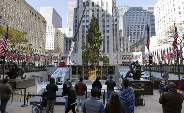 Świąteczna choinka dotarła do nowojorskiego Rockefeller Center. To 11-tonowy świerk