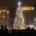 Świąteczna choinka rozbłysła na Rynku Głównym w Krakowie