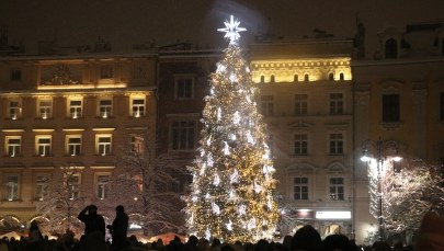 Świąteczna choinka rozbłysła na Rynku Głównym w Krakowie