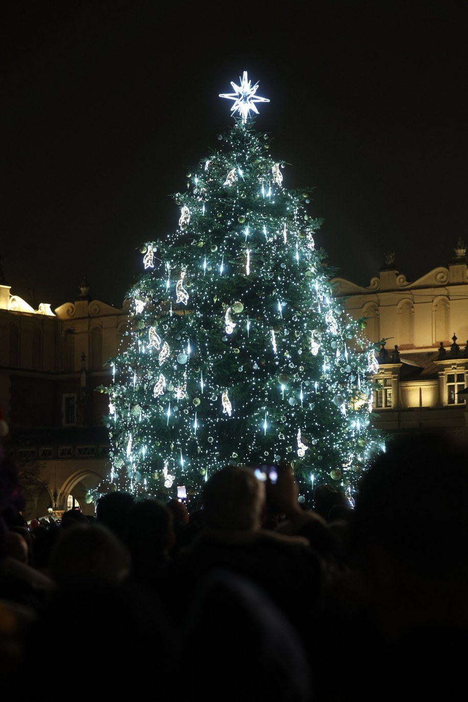 Świąteczna choinka stanęła na Rynku Głównym w Krakowie /	Łukasz Gągulski /PAP
