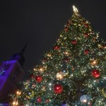 Świąteczna choinka w Warszawie. Zobaczcie zdjęcia