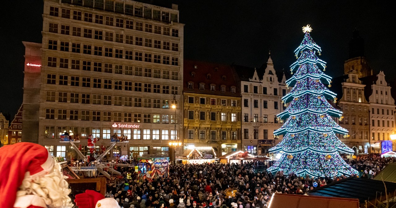 Świąteczna choinka we Wrocławiu