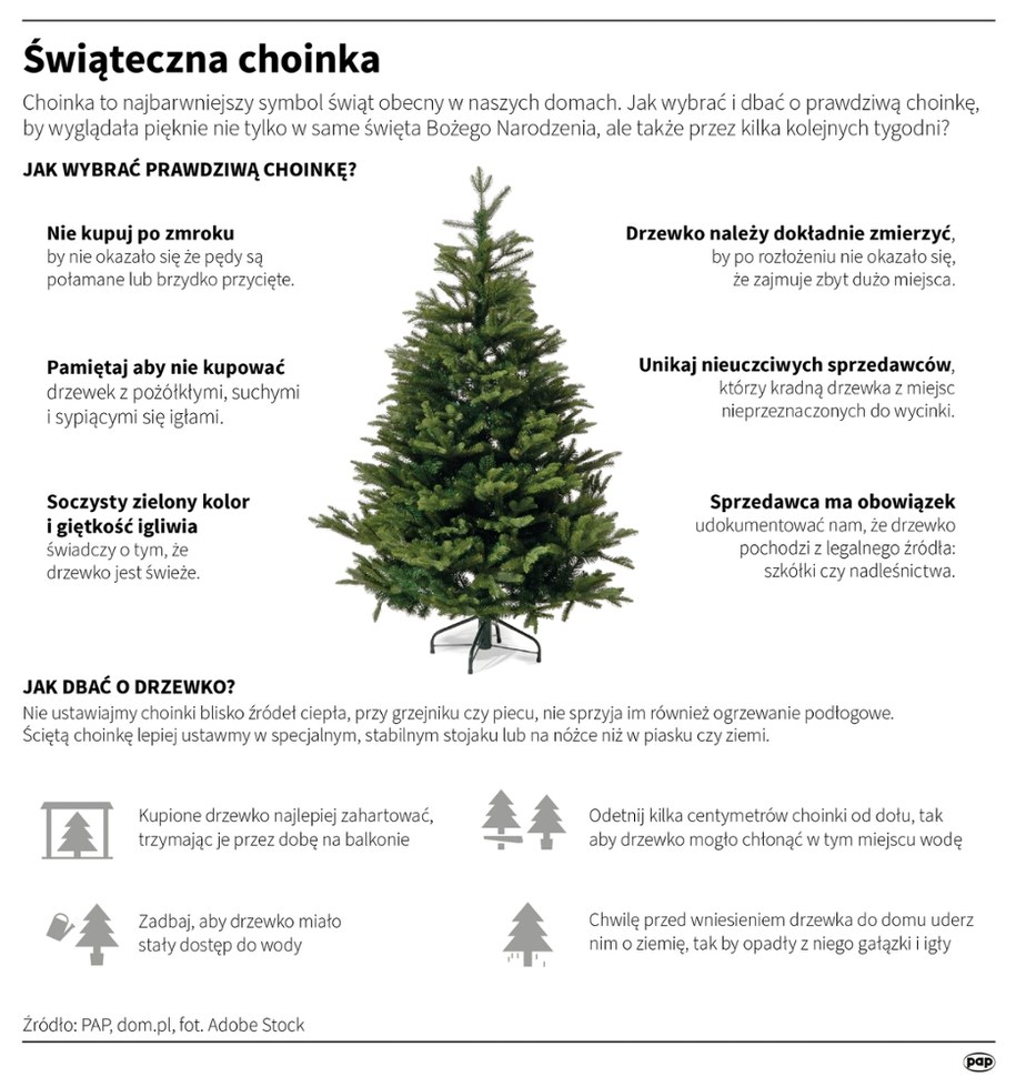 Świąteczna choinka /Adam Ziemienowicz , Mateusz Krymski /PAP