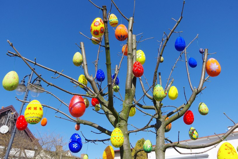 Świąteczne drzewko może być piękną ozdobą również w Wielkanoc. W niektórych miejscach panuje nawet zwyczaj dekorowania drzew pisankami. Podobną dekorację możemy stworzyć we własnym domu. /ZOFIA I MAREK BAZAK  /East News