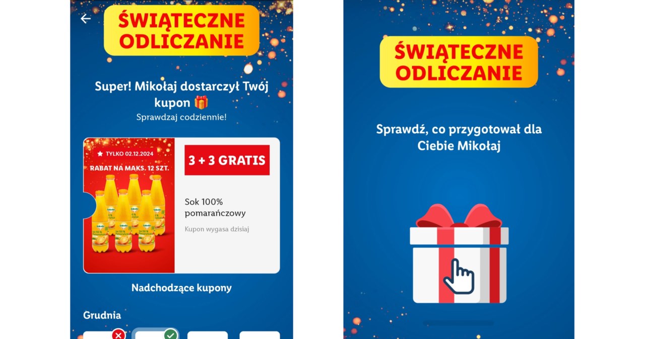 Świąteczne oferty promocyjne w sieci Lidl /Lidl /