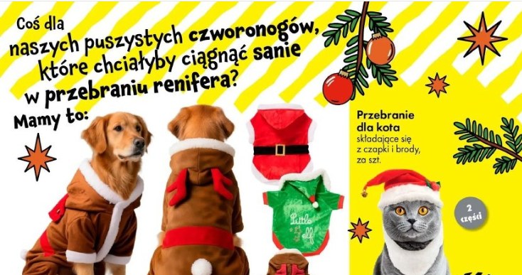 Świąteczne ubranka dla psa i kota w Tedi /Tedi /INTERIA.PL