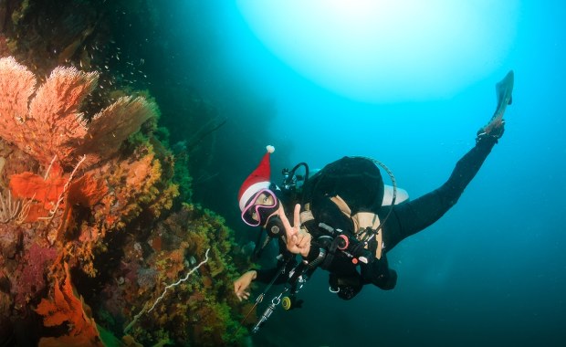 Świąteczne życzenia z głębin. Przystrojona choinka na dnie jeziora
