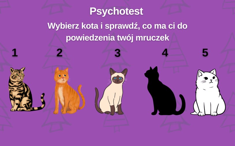 Świąteczny psychotest: Co ma ci do powiedzenia twój kot? 