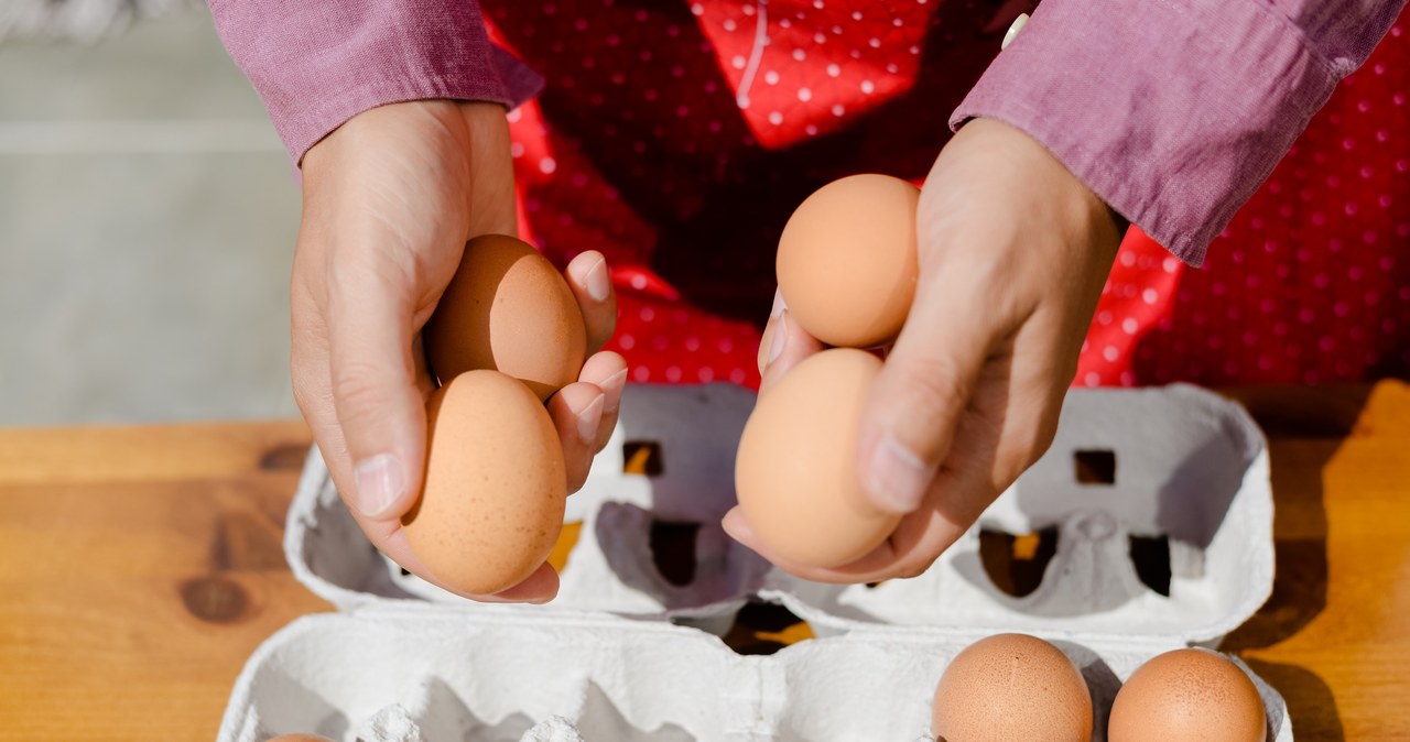 A Organização Mundial da Saúde (OMS) diz que você pode comer 10 ovos/123rf/fotos toda semana