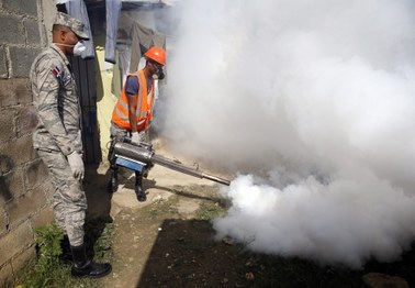 Światowa Organizacja Zdrowia: Wirus Zika to zagrożenie na skalę światową