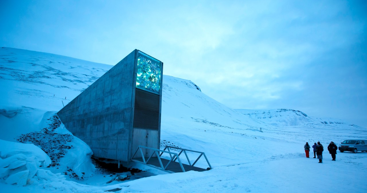 Światowe Archiwum Arktyczne podobne do Globalnego Banku Nasion /AFP
