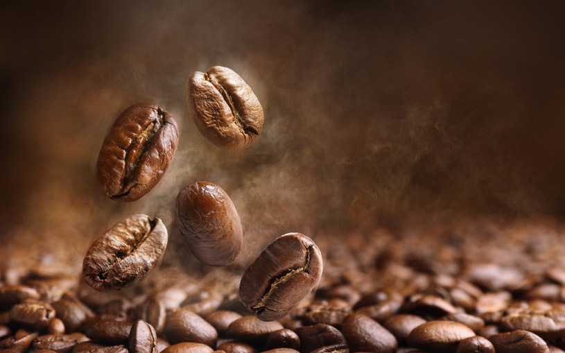 Światowe zasoby kawy są zagrożone /123RF/PICSEL