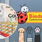 karma dla kotów Światowy Dzień Kota w Biedronce. Duży wybór karmy i akcesoriów