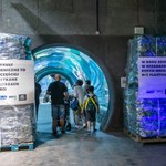 Światowy Dzień Oceanów. Instalacja z odpadów w łódzkim Orientarium