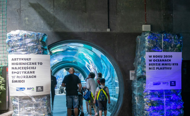 Światowy Dzień Oceanów. Instalacja z odpadów w łódzkim Orientarium