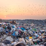 Światowy Dzień Recyklingu, czyli o współczesnym wyzwaniu, z którym mierzymy się od tysiącleci