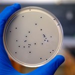 Świecące antybiotyki wykryją zakażenie bakteryjne