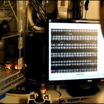 Świecące bakterie alternatywą dla ekranów OLED